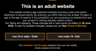 Pornhub warning page