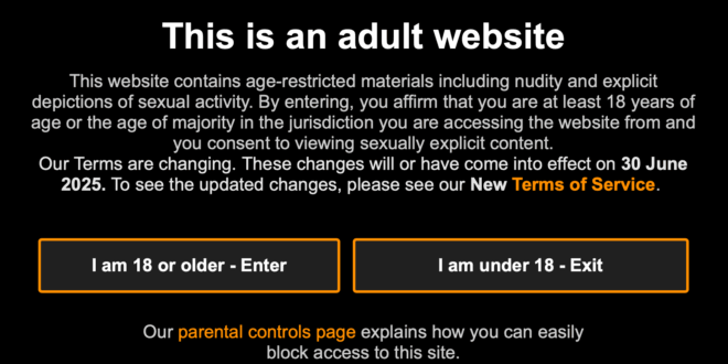 Pornhub warning page